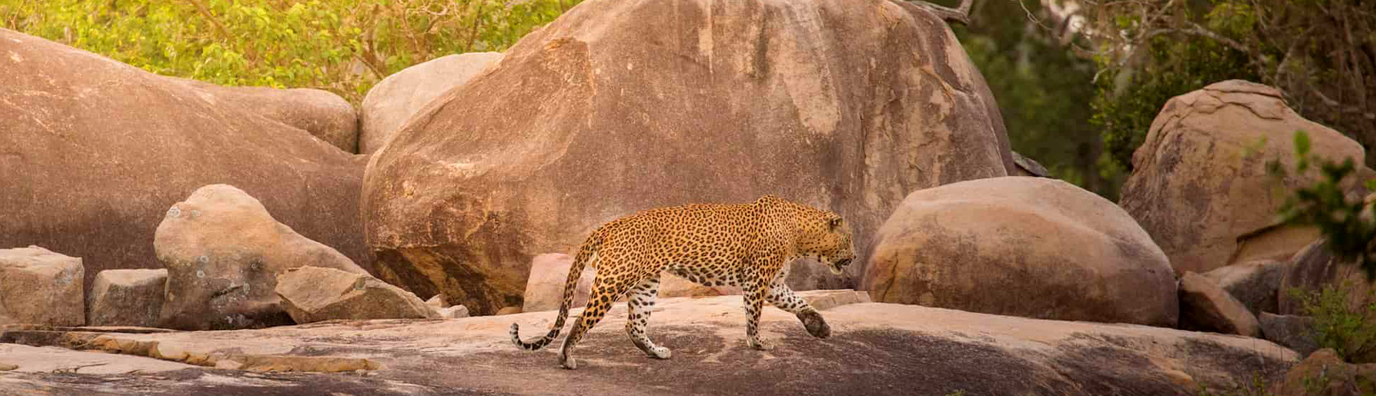 sri lanka 4 day round tour 